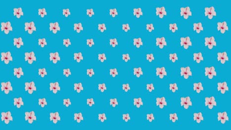 Digital-animation-of-multiple-pink-flowers-moving-against-blue-background