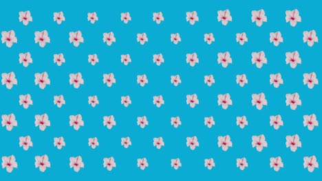digital animation of multiple pink flowers moving against blue background