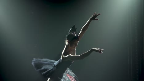 Silhouette of a graceful ballerina in a chic image 2023 11 27 04 50 39 utc.mov | action, alone, art, ballerina