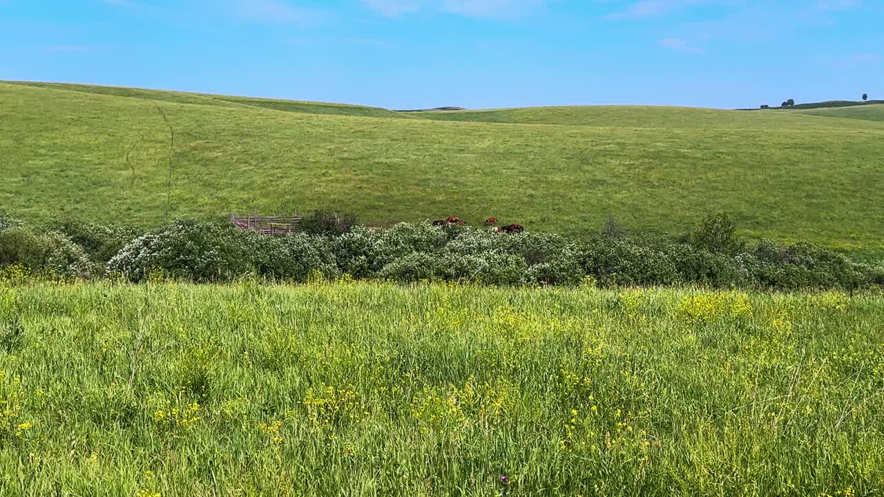 A Serene Landscape Featuring Rolling Green Hills and Lush Vegetation Under a Clear Blue Sky Captured in Stunning Detail from Two Distinct Frames