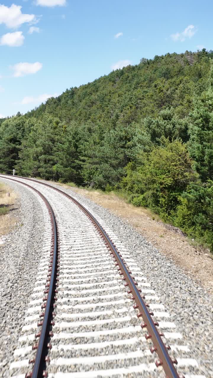 Uma vista de trilhos de trem cercados por árvores e natureza