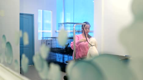young people working in pet shop with dog