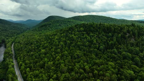 Turning-and-tracking-along-the-forest-trees