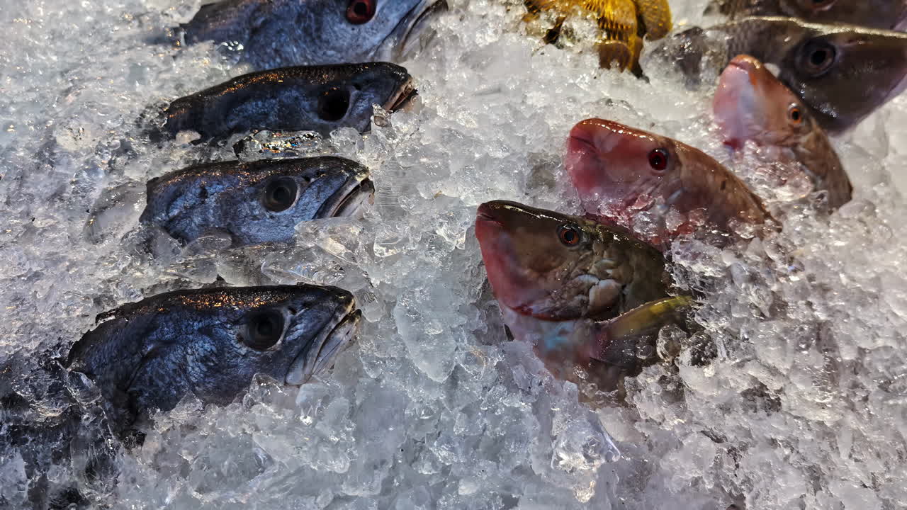 Fish Covered With Crushed Ice Displayed In The Stall At Fish Market. - closeup shot