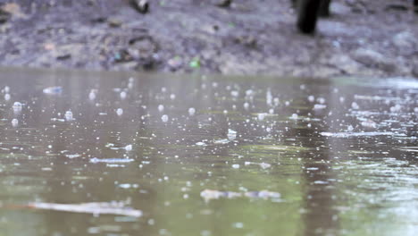 slomo shot of muddy river slowing floating