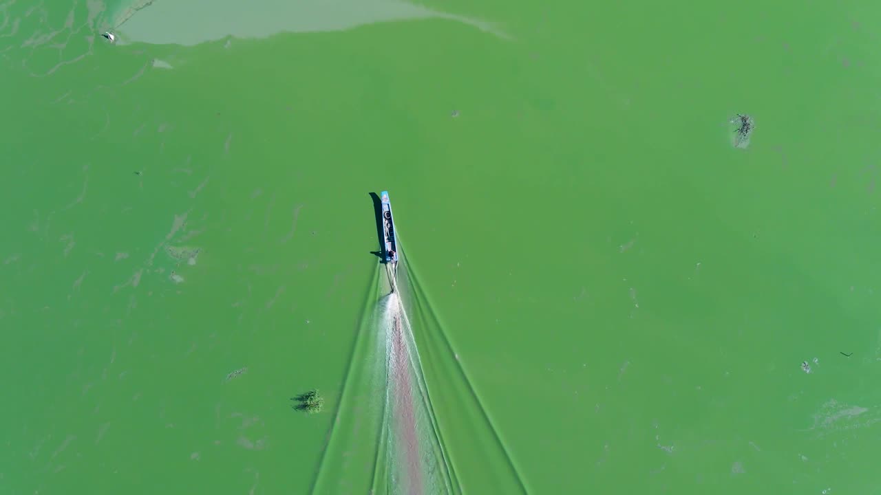장마철에 톤레 수액의 낮은 해조류로 덮힌 물을 통과하는 보트를 따라가는 공중 전망, 극도로 낮은 수면, 캄보디아