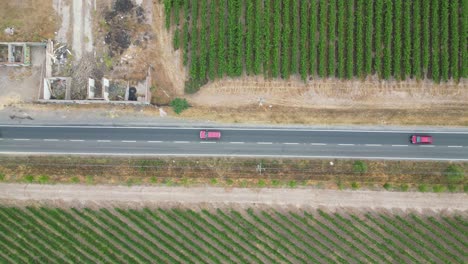 gray and red cars on the road in calera de tango chile