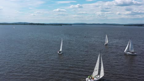 sailing competition on a lake