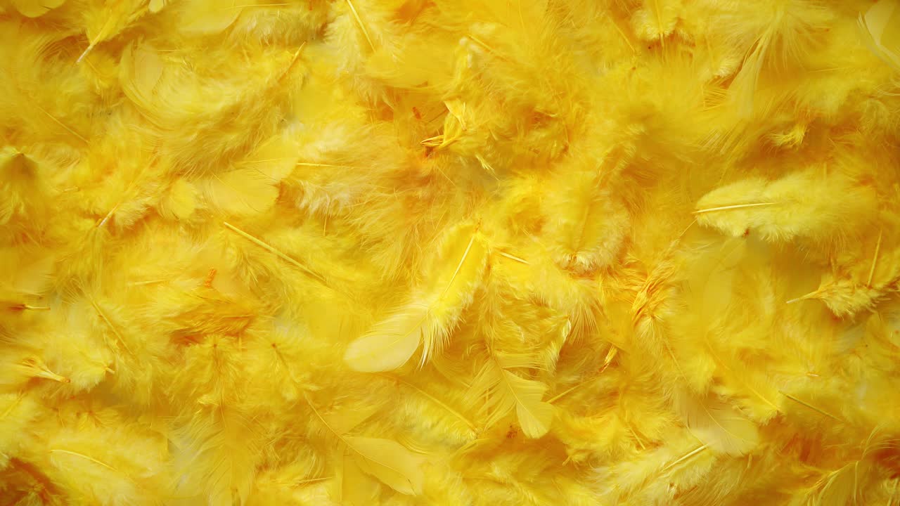 желтые перья фон плоский