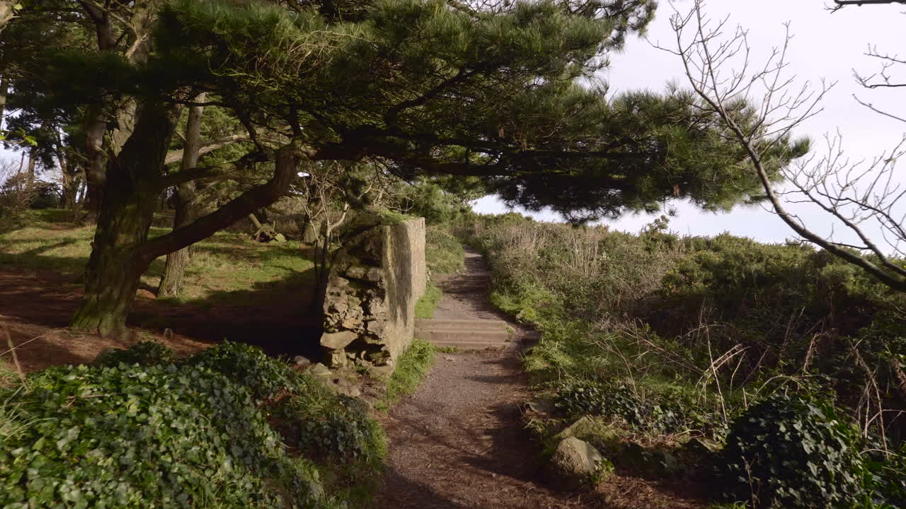 Vista di un sentiero su una lussureggiante montagna costiera in una giornata di sole nell'Irlanda del Sud - ripresa in avanti