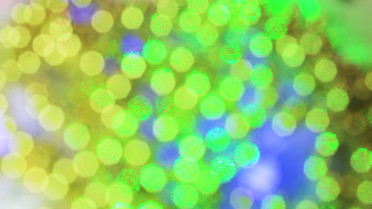 크리스마스 황금빛과 녹색 은 아름다운 보케를 만니다.