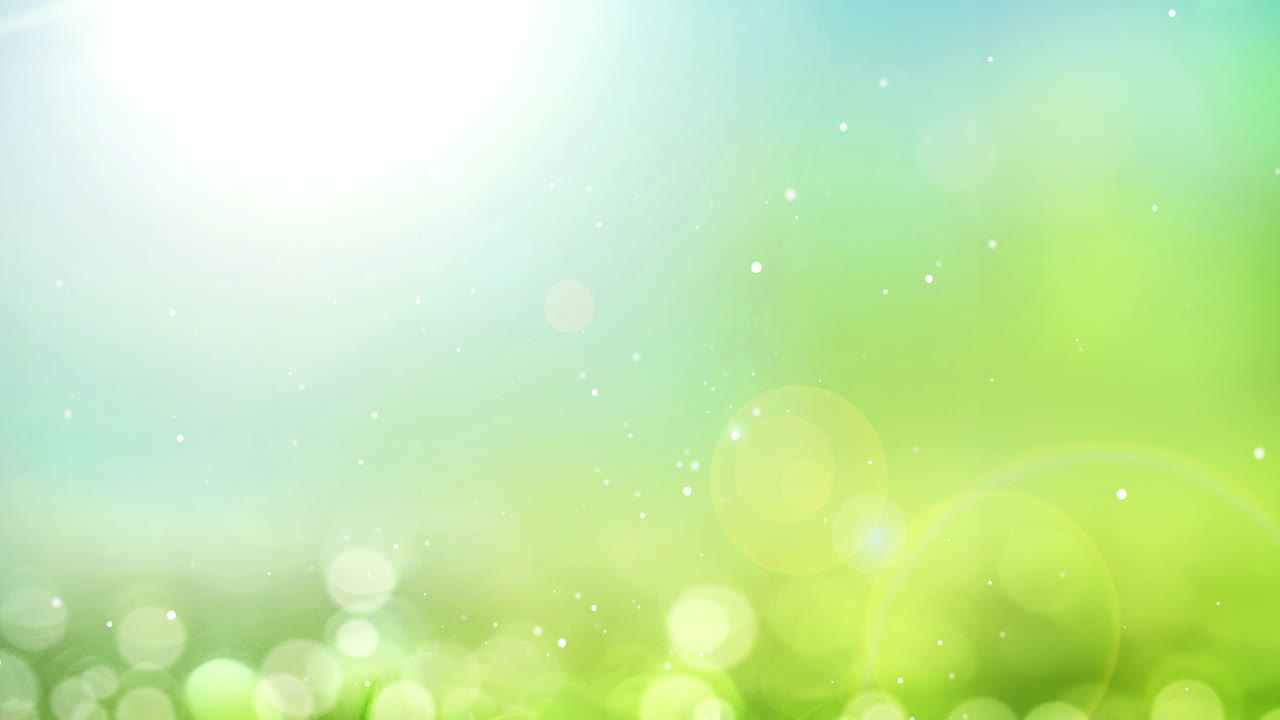 추상적인 녹색 보케 배경