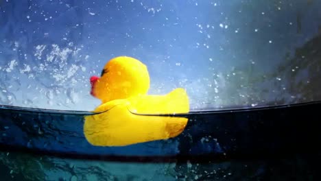 Plastic-Duckie-032