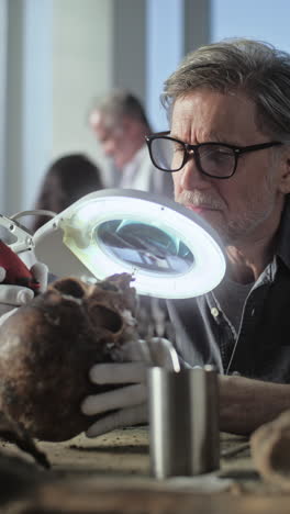 archaeologist examining a skull