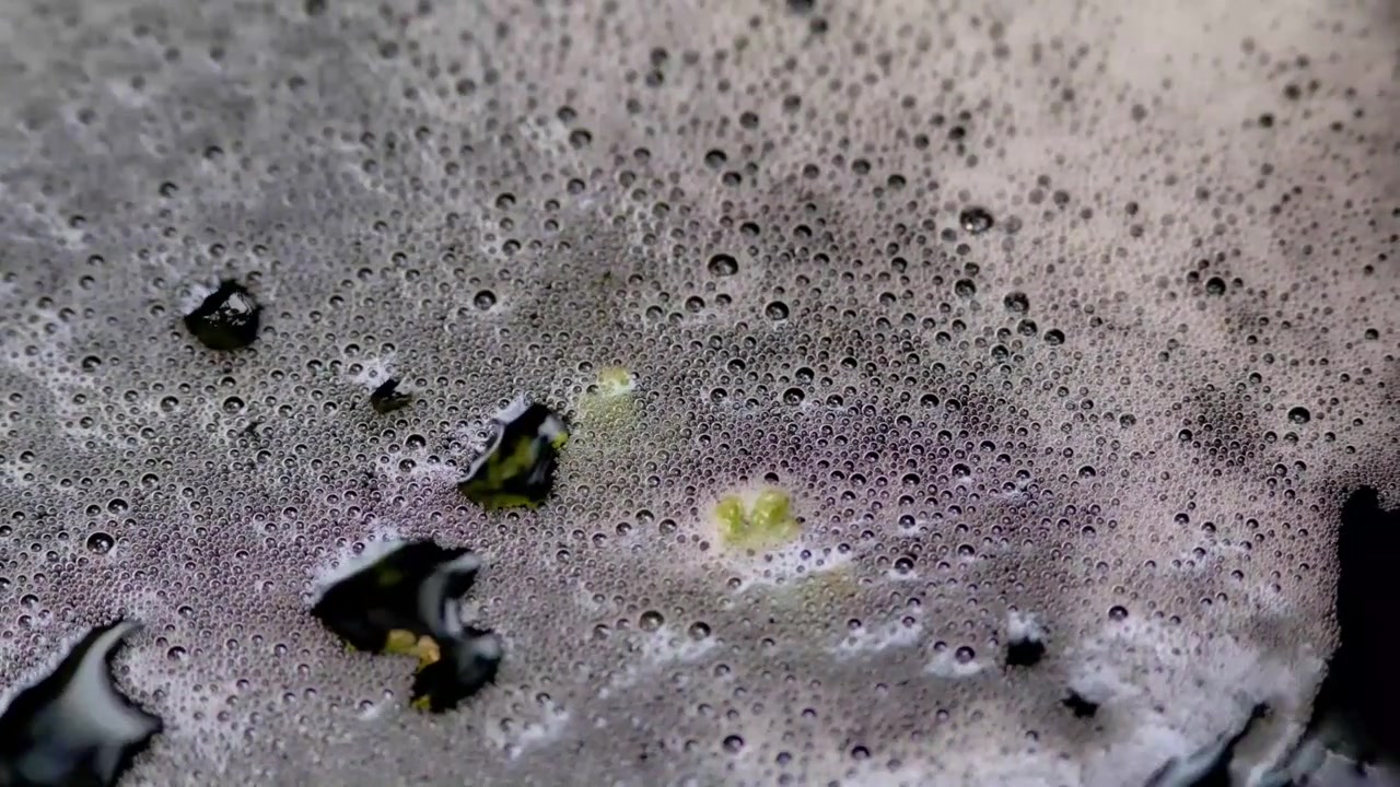 There is muddy bubble foaming up on the surface of the pond.