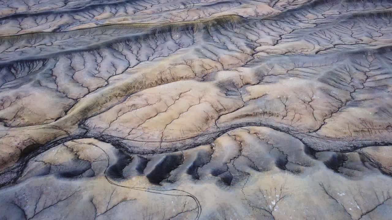 야생 계곡의 공장 부트 정상의 거친 표면