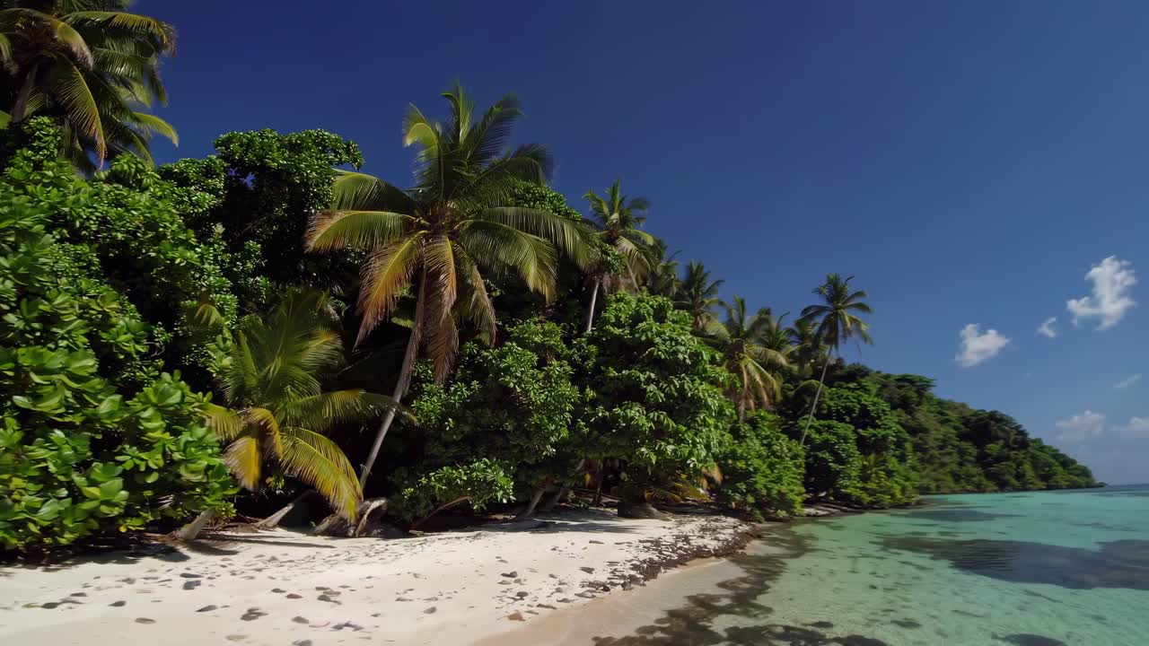 Una serena scena di spiaggia con vegetazione lussureggiante, ripresa con un'inquadratura ampia e dal basso.