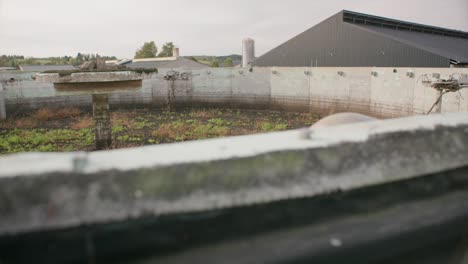 liquid manure tank full of slurry