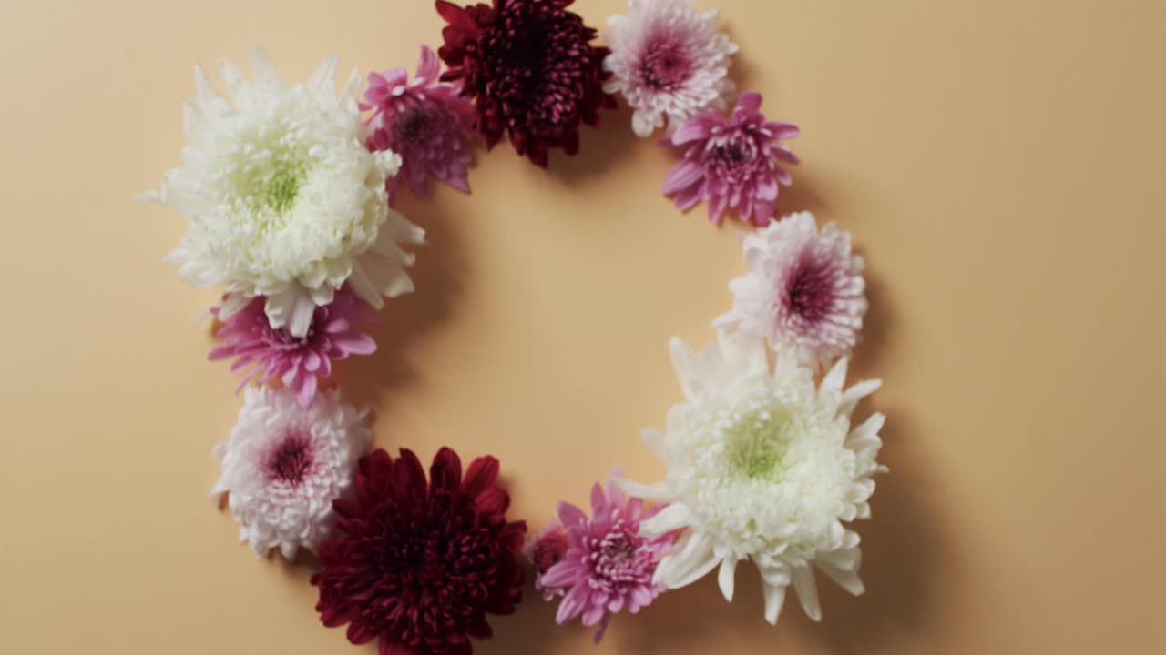 Vídeo de flores vermelhas, brancas e rosas em círculo com espaço para texto em fundo amarelo.