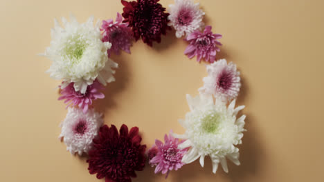 Video-of-red,-white-and-pink-flowers-in-circle-with-copy-space-on-yellow-background