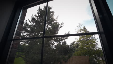 looking outside of a large window at a beautiful backyard