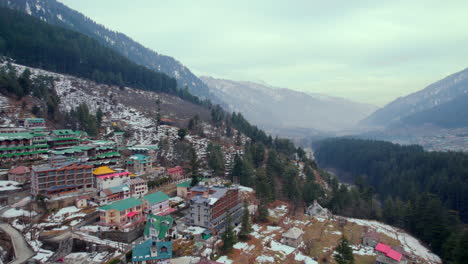 revealing trees from a drone shot in icy mountains of himachal pradesh in india