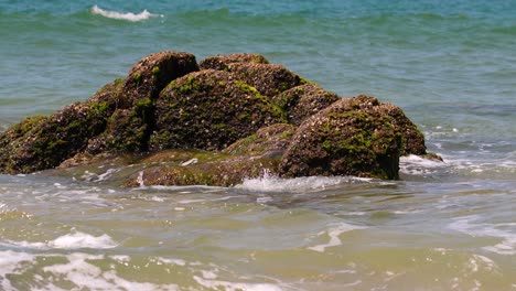 las olas del océano golpean las rocas y salpican esponjas