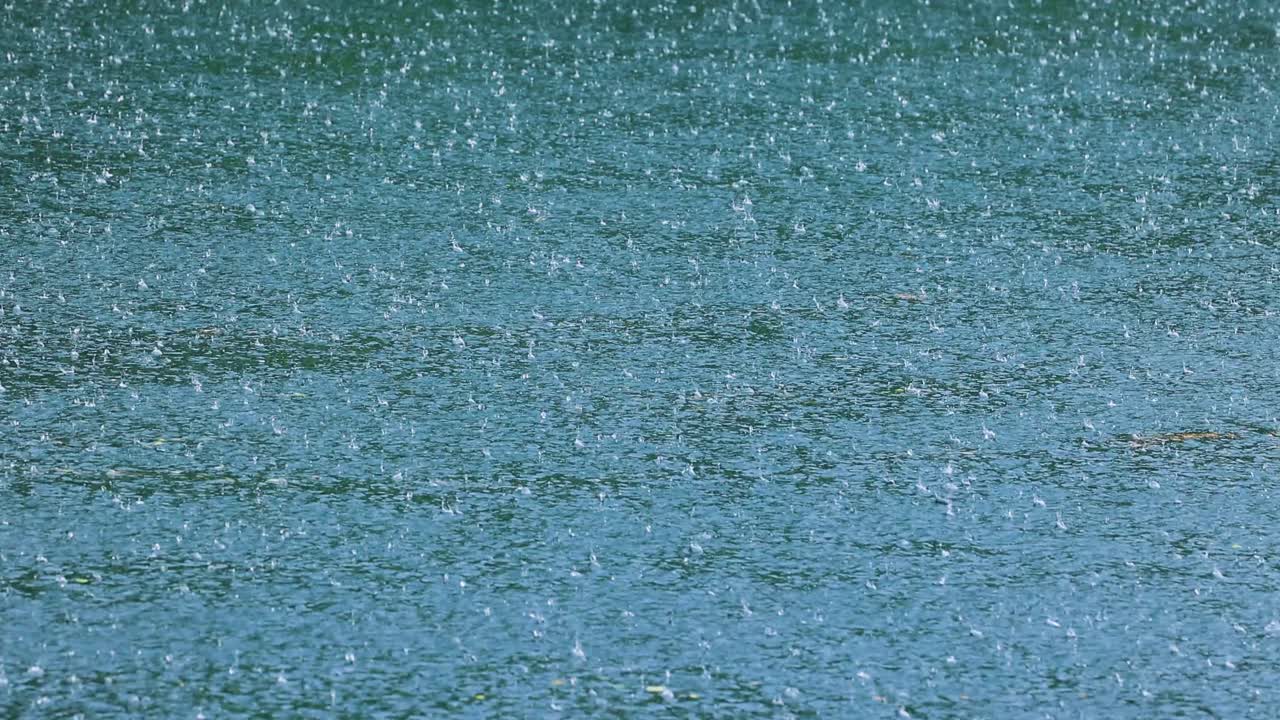 Abstract background, rain drops on the water.
