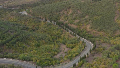 Flight-over-coast-while-car-driving-on-the-road