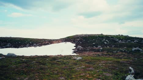 a dog walks through a rugged, mountainous landscape along the route from skurven to mefjellsvatnet in indre fosen, trøndelag, norway - handheld shot