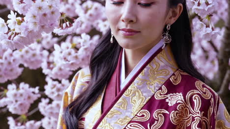 woman in kimono by cherry blossom trees