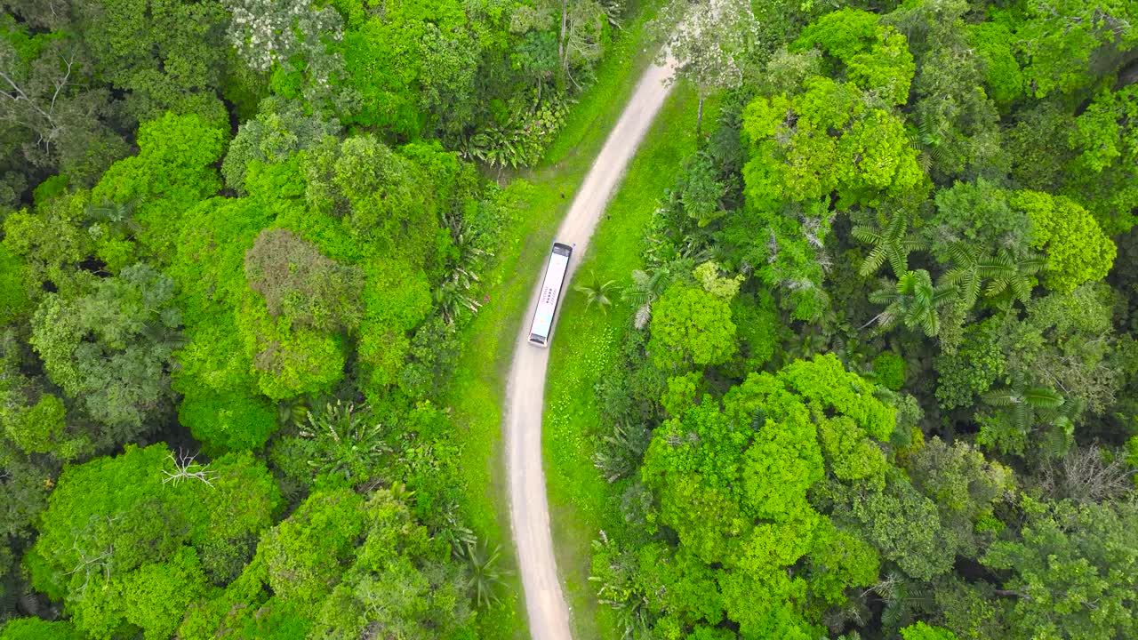숲 한가운데의  ⁇ 길에 있는 버스, 곡선 위에서 운전