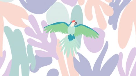Animation-Eines-Grünen-Papageis-über-Formen-Auf-Weißem-Hintergrund