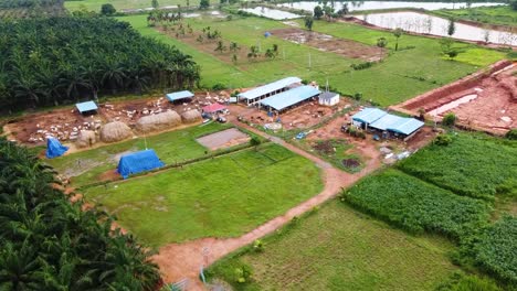 Drone-shot-of-Miniature-Cow-Farm-in-Andhra-Pradesh-State,-India