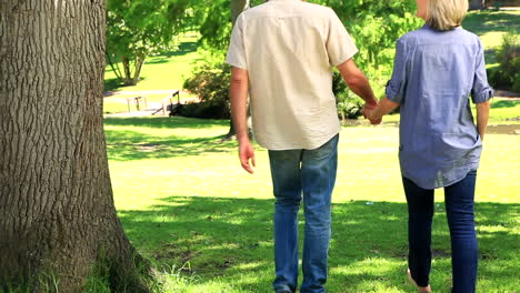 Glückliches-Paar-Zu-Fuß-Im-Park