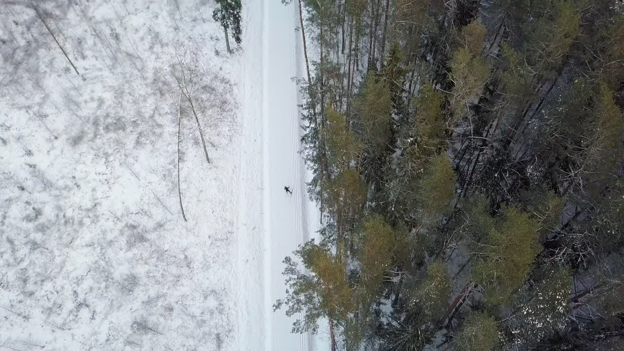 ojo de pájaro aéreo volando sobre un camino nevado en el bosque, persona irreconocible esquiando