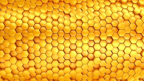el fondo de los hexágonos