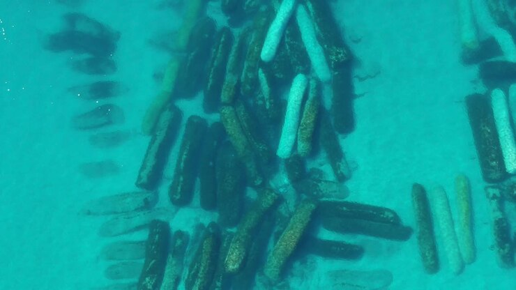 Aerial view of a new artificial reef