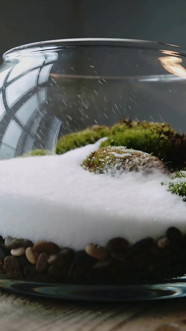 Vertical video: Falling white granules landing on glass terrarium on tabletop, softening moss path