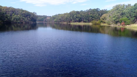 flotando sobre un lago tranquilo