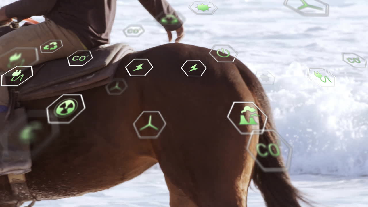 Adult rider guiding dark brown horse along shoreline displaying floating green hexagon energy icons