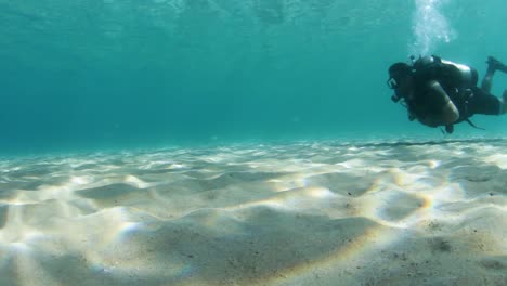 a scuba diver swimming along a sandy beach underwater