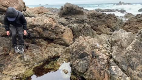 boy climbing over rocks and exploring an ocean tide pool at garrapata state park, on the monterey coast of california