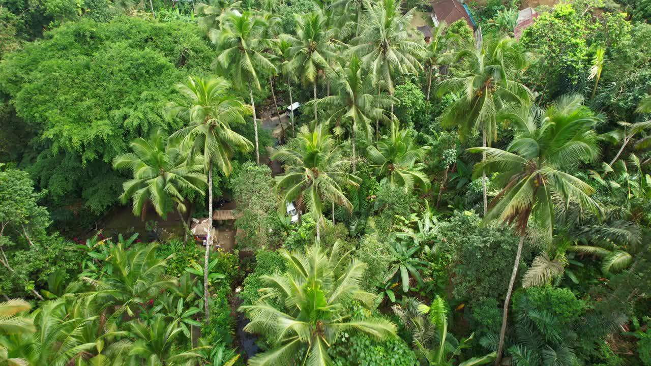 Aerial Flying Over Sidemen Village Jungle Huts in Tropical Forest with Lush Green Palm Trees, Small Houses and Creek Stream in East Bali Indonesia