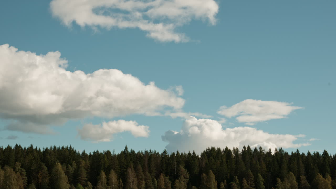 Sky, Clouds, and Trees