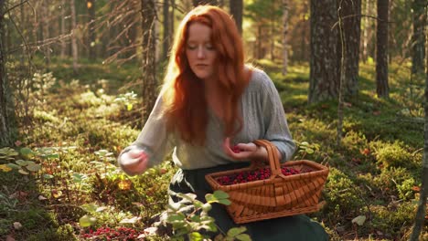 a serene moment in nature: a young woman joyfully collecting berries in a lush forest, embracing the beauty of harvest and the tranquility of the outdoors