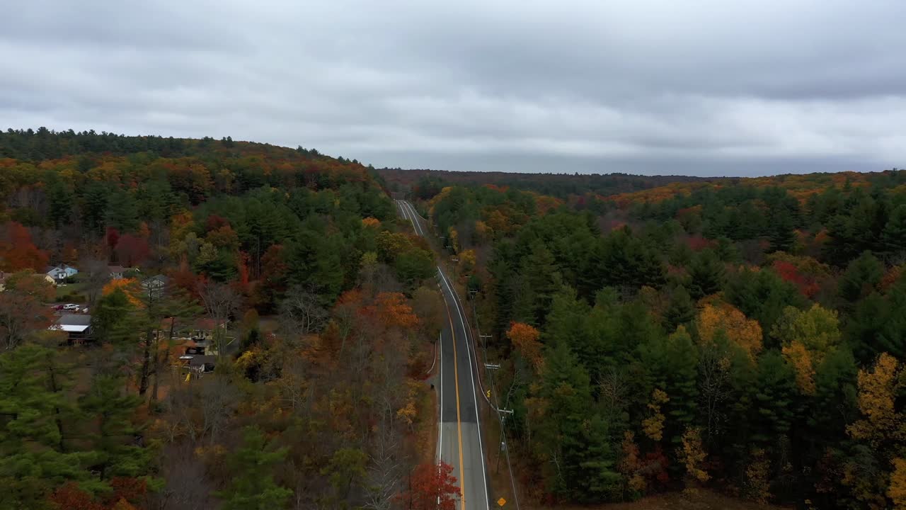 antena de coche solitario en carretera a través del bosque en otoño, nueva inglaterra