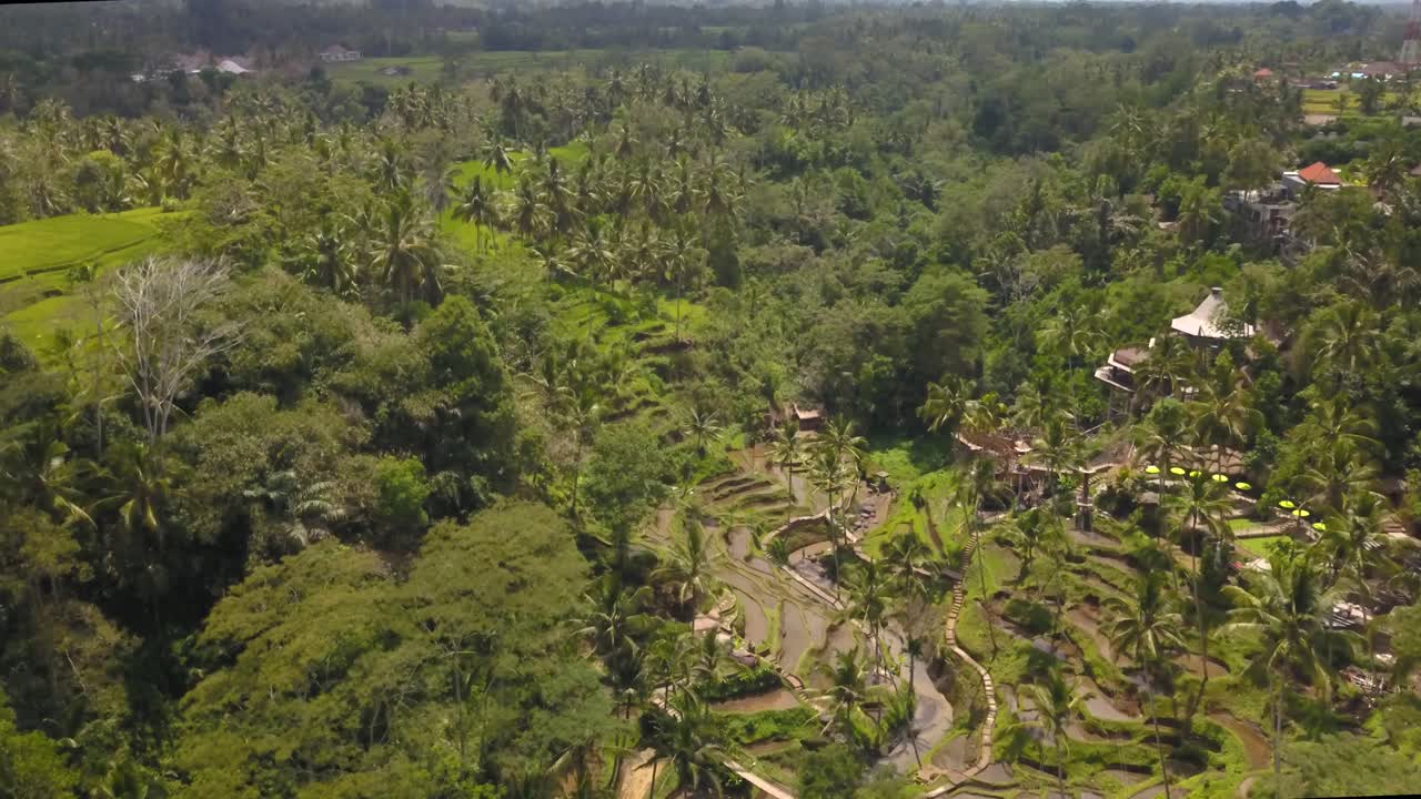 Aerial perspective of Tegallalang rice terraces on a sunny day, Ubud, Bali Indonesia