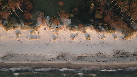 drone aerial bird's-eye view of sandy beach waves crashing on shoreline with forest baltic sea travel tourism holiday nature europe