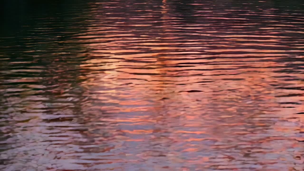 Rippling water surface from light breeze, shifting warm hues at pond with dark reflections